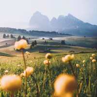 Lesen LED Bilder Bewertungen